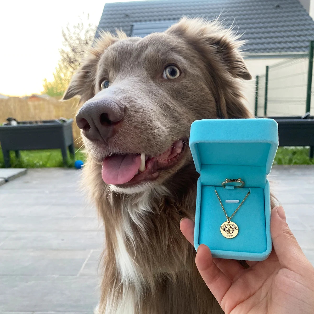 Pup Ring